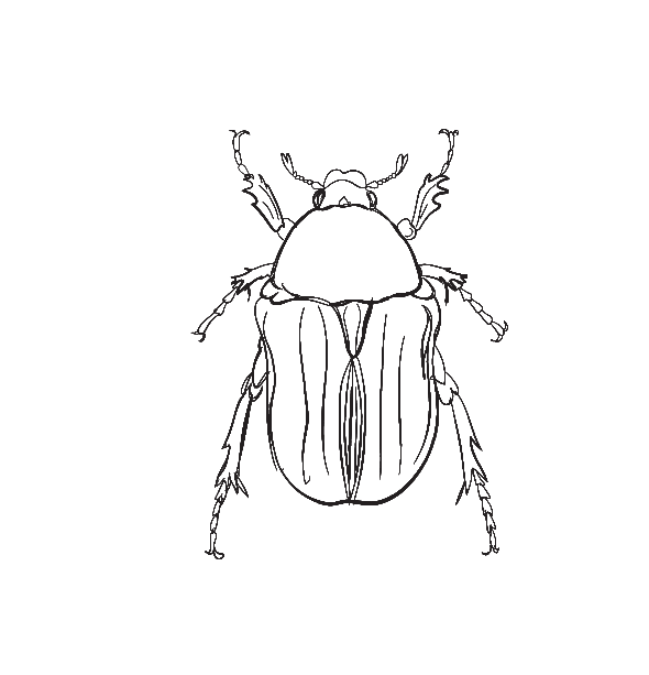 Claire Soulier - Oléicultrice - Oléologue